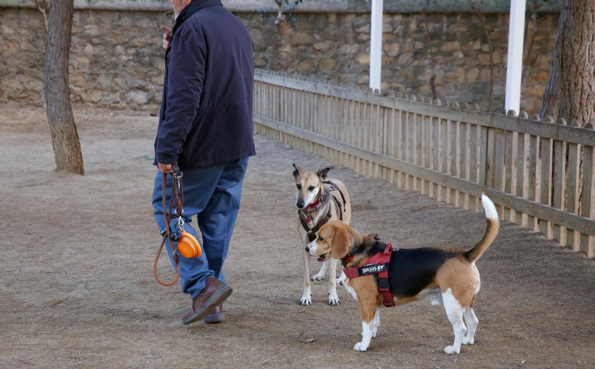Un hombre lleva a sus perros a una de las zonas valladas ya existentes.