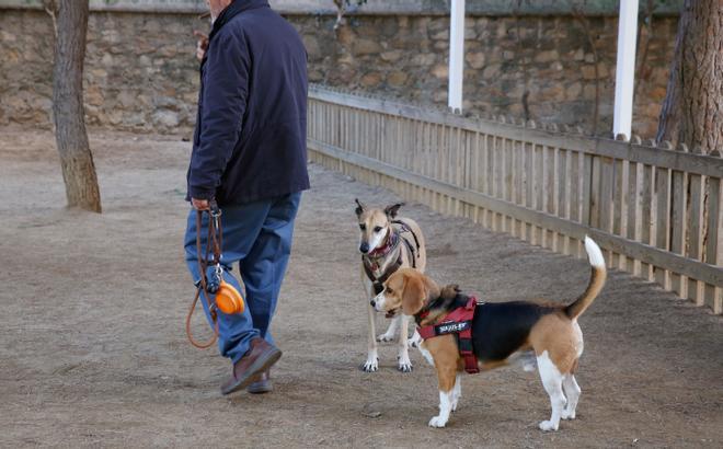 Últimos meses de permiso para llevar a los perros sin atar en toda Barcelona