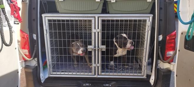 Rescatan a dos perros encerrados en una casa deshabitada de Barcelona