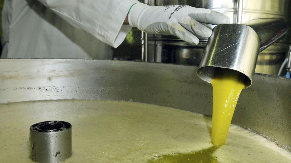 Producción de aceite de oliva en una empresa agroalimentaria española.
