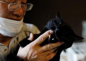 Sakae Kato acaricia a un gato rescatado en su casa, en Fukushima