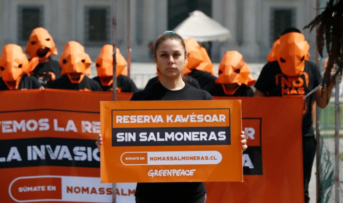 Una docena de activistas de Greenpeace disfrazados de salmón se encierran en una jaula, instalada frente al palacio presidencial La Moneda, en el centro de Santiago de Chile