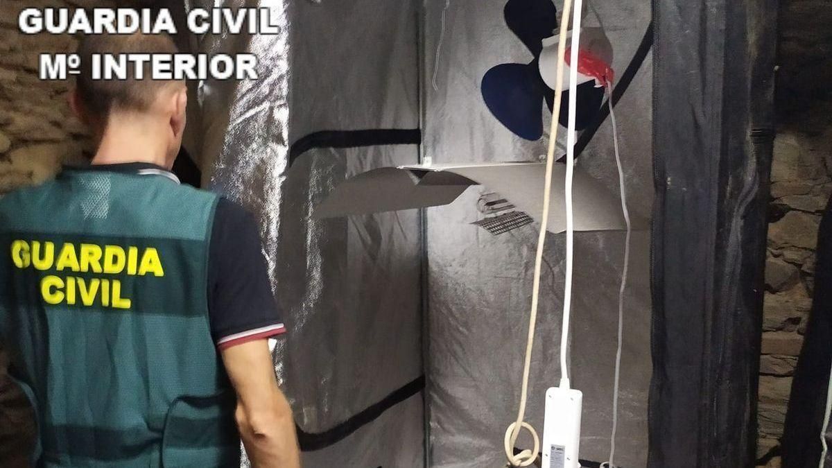 Detenidos en A Coruña dos "miembros de la república errante menda lerenda" por plantar marihuana Detenidos en A Coruña dos "miembros de la república errante menda lerenda" por plantar marihuana