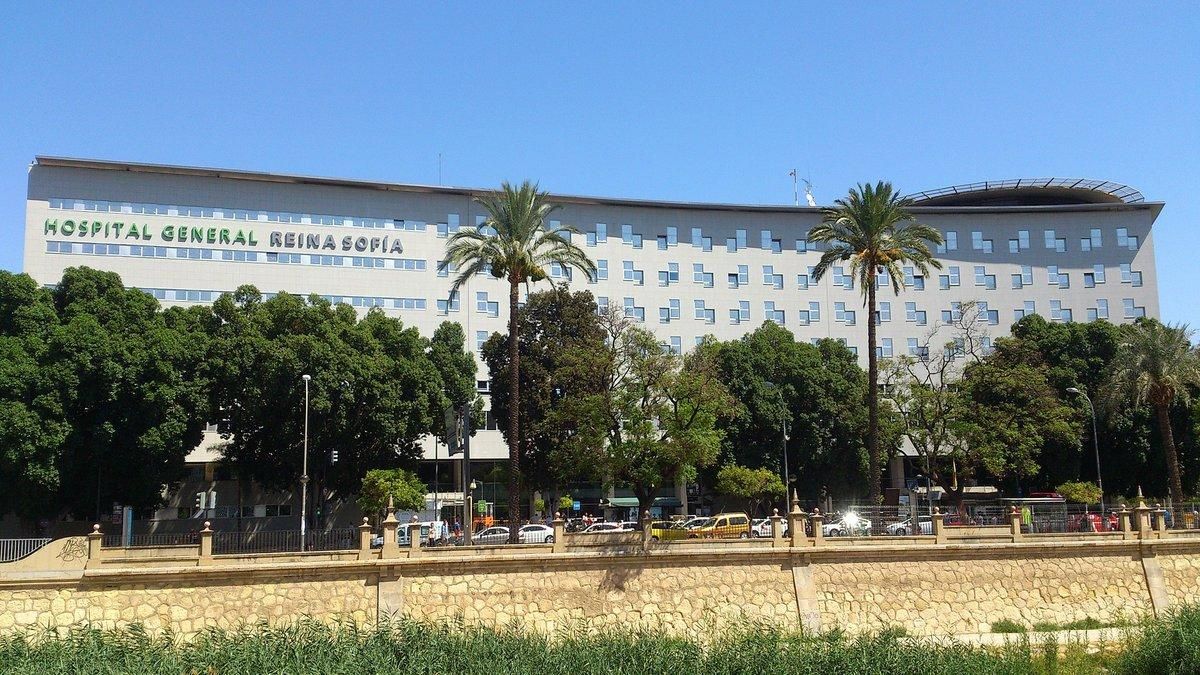 El Hospital Reina Sofía de Murcia. El Hospital Reina Sofía de Murcia.