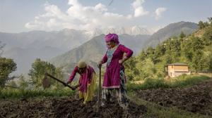 Unas mujeres laboran la tierra en la ciudad india de Dharmsala.