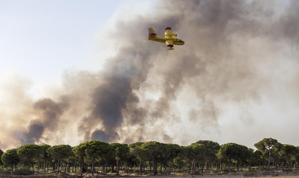 Una avioneta participa en las labores de extinción de un incendio en Huelva, en el parque de Doñana. Una avioneta participa en las labores de extinción de un incendio en Huelva, en el parque de Doñana.