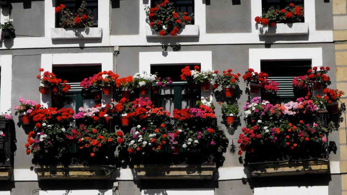 Balcones floreados en la plaza de Armas de la localidad guipuzcoana de Hondarribia. Balcones floreados en la plaza de Armas de la localidad guipuzcoana de Hondarribia.