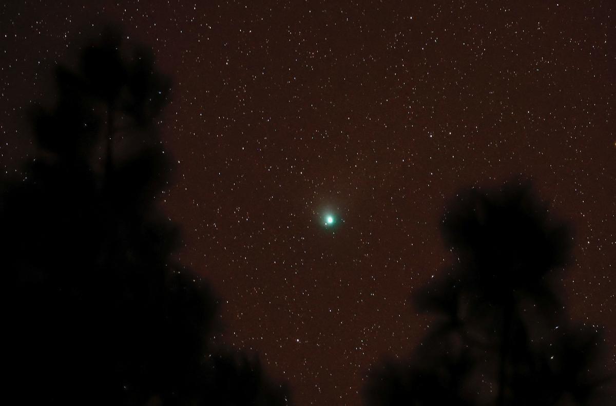 El cometa verde C/2022 E3 (ZTF) visto desde Pico de las Nieves, en la isla de Gran Canaria, el pasado día 1.