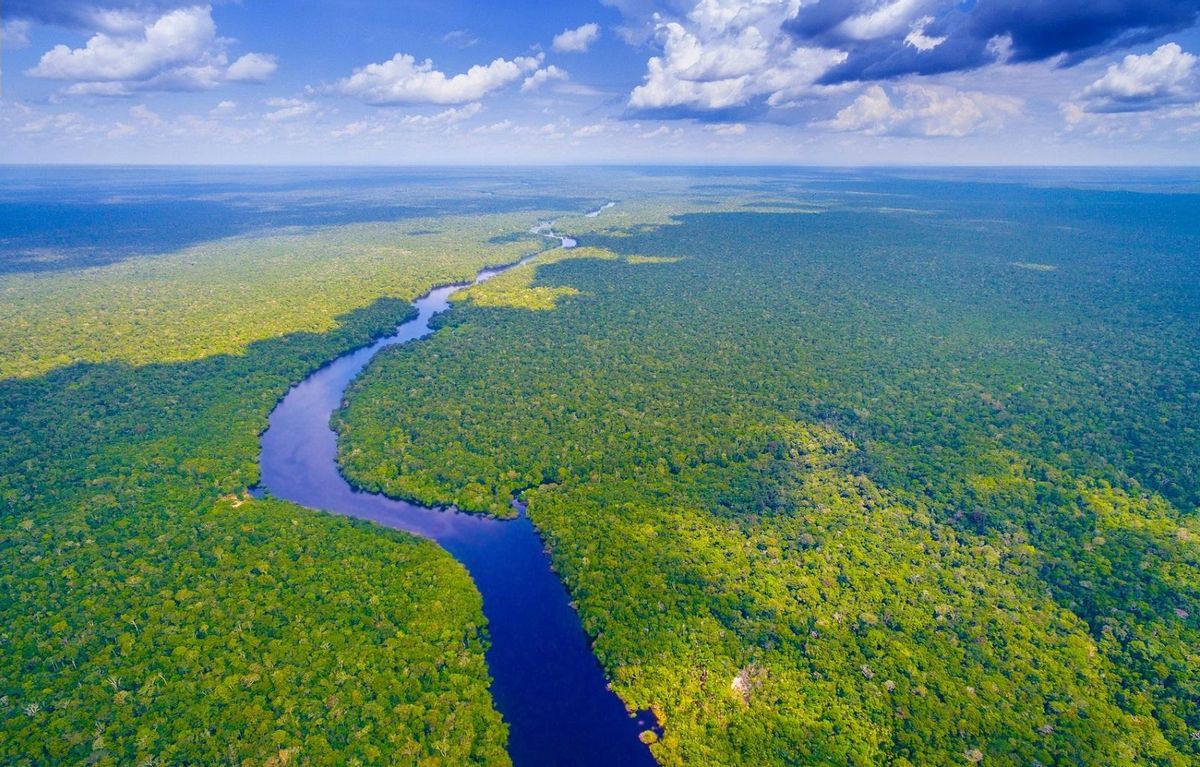 ¿Realmente acabará Lula con la deforestación de la Amazonía? ¿Realmente acabará Lula con la deforestación de la Amazonía?