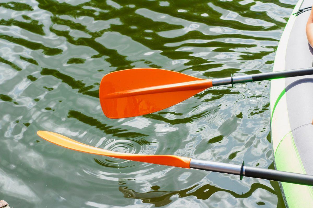 Dos remos de kayak.