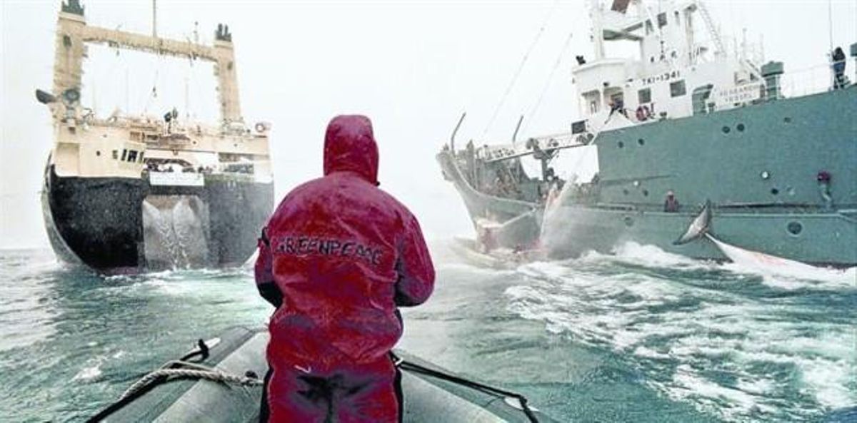 bloqueo en alta mar. Una balsa del buque ’Esperanza’ de Greenpeace intenta evitar la transferencia de una ballena capturada del pesquero japonés a su nave nodriza, en el Antártico, en diciembre del 2005. bloqueo en alta mar. Una balsa del buque ’Esperanza’ de Greenpeace intenta evitar la transferencia de una ballena capturada del pesquero japonés a su nave nodriza, en el Antártico, en diciembre del 2005.