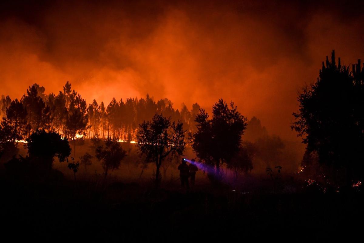 Els incendis forestals, l’altre gran problema de la crisi climàtica