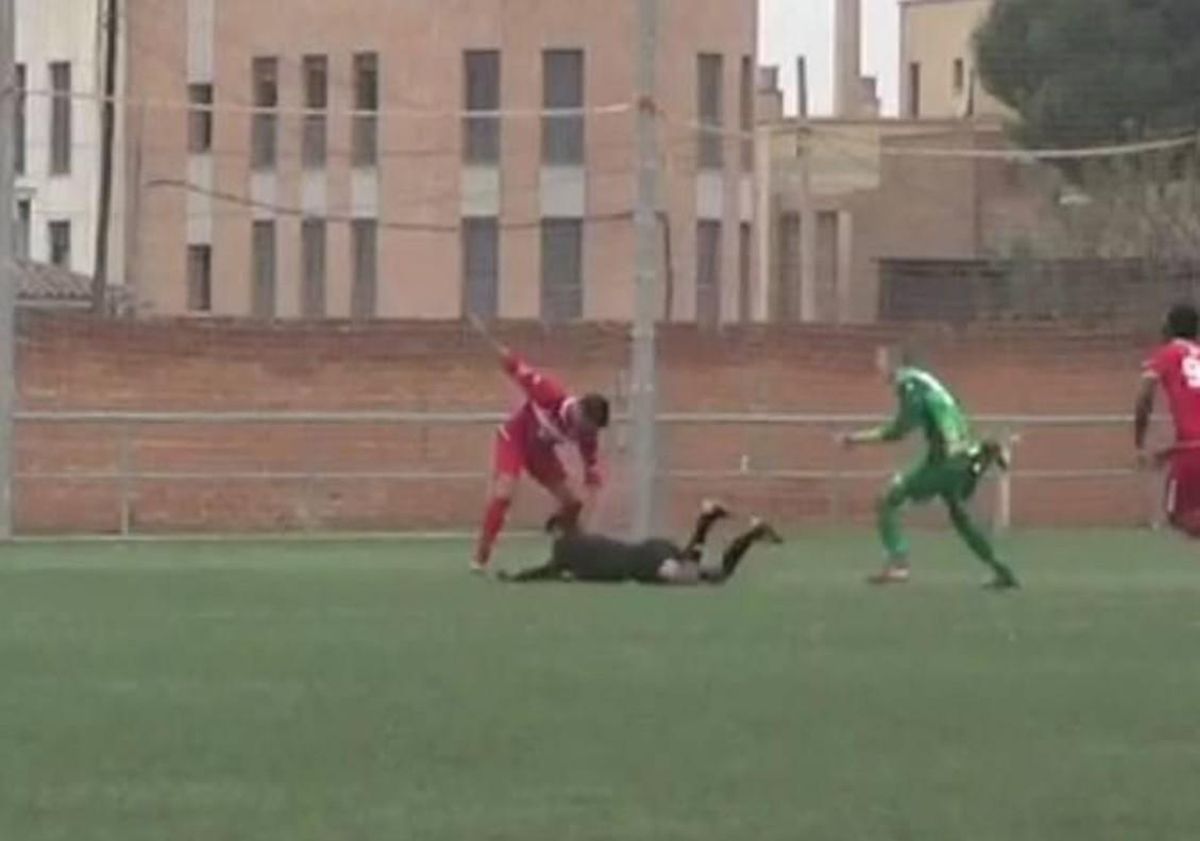 Momento de la agresión del jugador al colegiado. Momento de la agresión del jugador al colegiado.