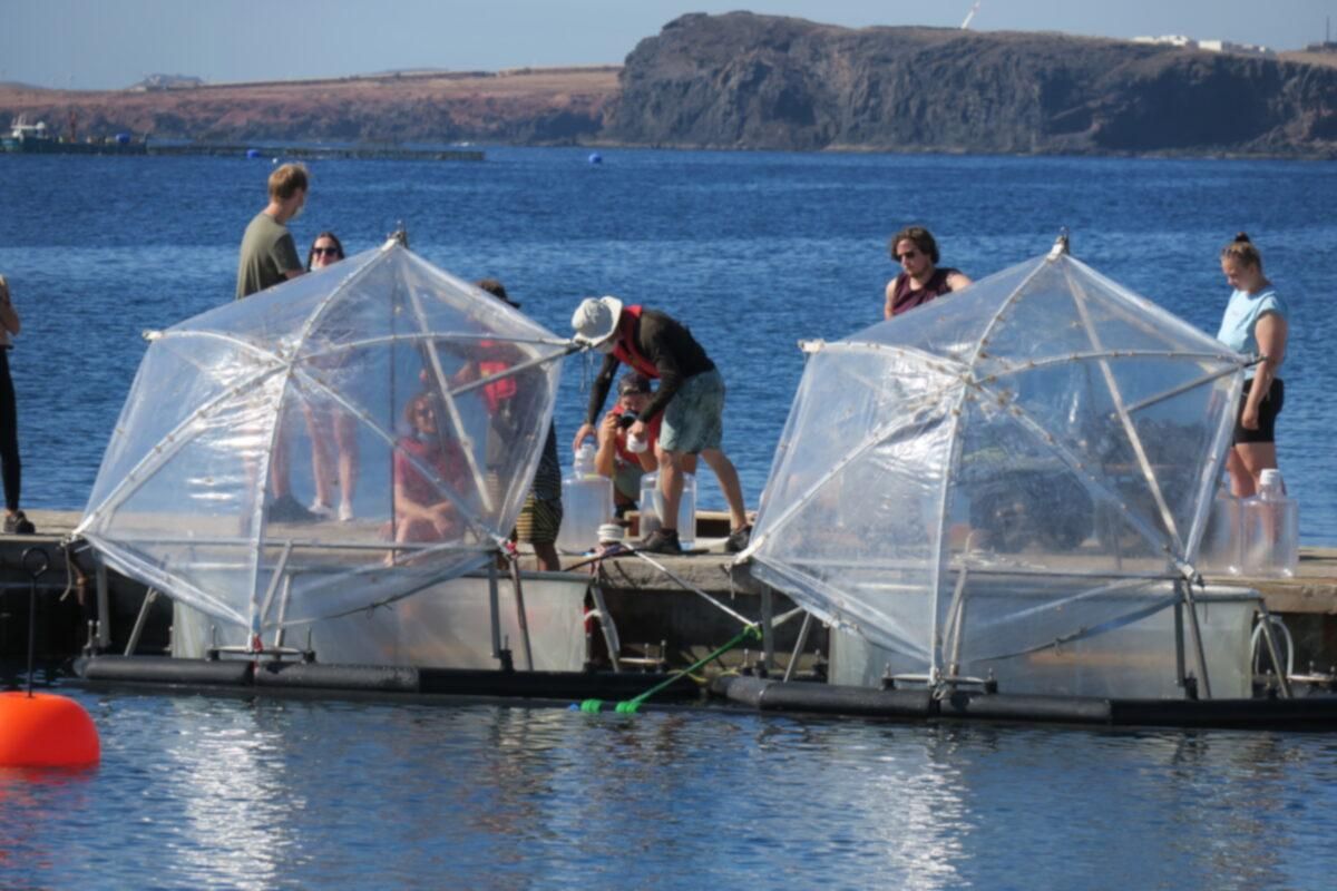 Canarias, sede un experimento para acelerar la captación de CO2 por el mar Canarias, sede un experimento para acelerar la captación de CO2 por el mar