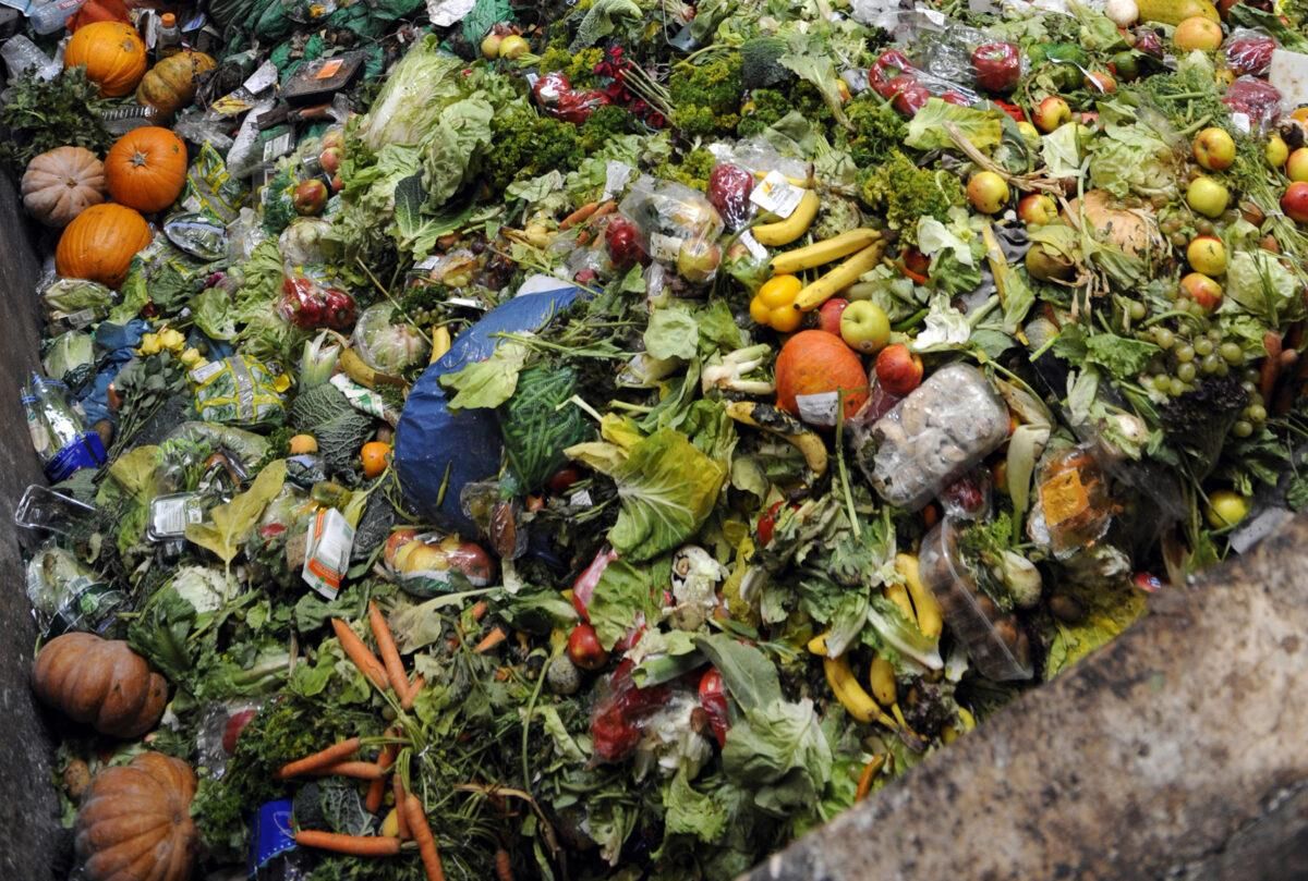 El 40% de los alimentos producidos en el mundo acaba en la basura El 40% de los alimentos producidos en el mundo acaba en la basura