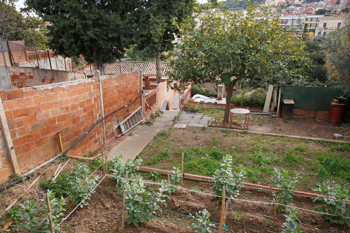 Huertos afectados por la actuación urbanística en la Baixada de Can Mateu, en Horta. Huertos afectados por la actuación urbanística en la Baixada de Can Mateu, en Horta.