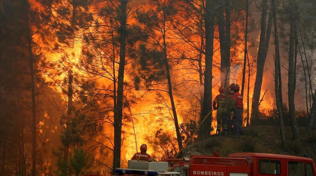 Unos bomberos tratan de sofocar el incendio que asoló la localidad de Capelo, en Portugal, el pasado junio.