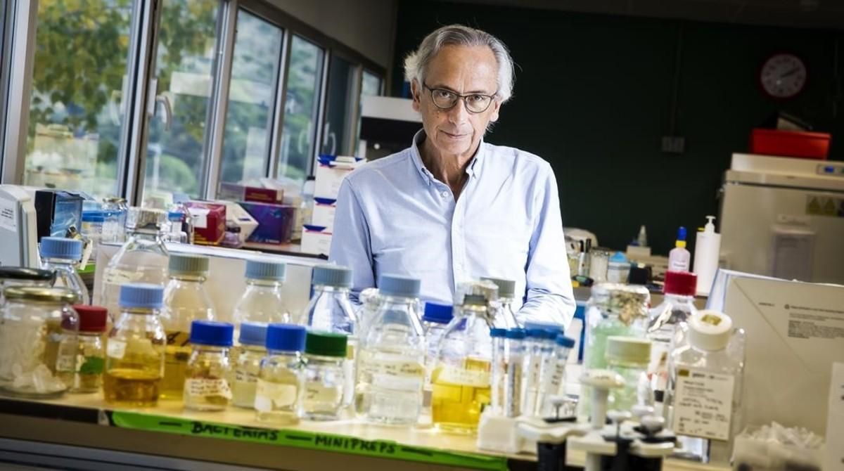 El doctor Bonaventura Clotet en el laboratorio de investigación IrsiCaixa, situado e el Hospital Germans Trias i Pujol, de Badalona. El doctor Bonaventura Clotet en el laboratorio de investigación IrsiCaixa, situado e el Hospital Germans Trias i Pujol, de Badalona.