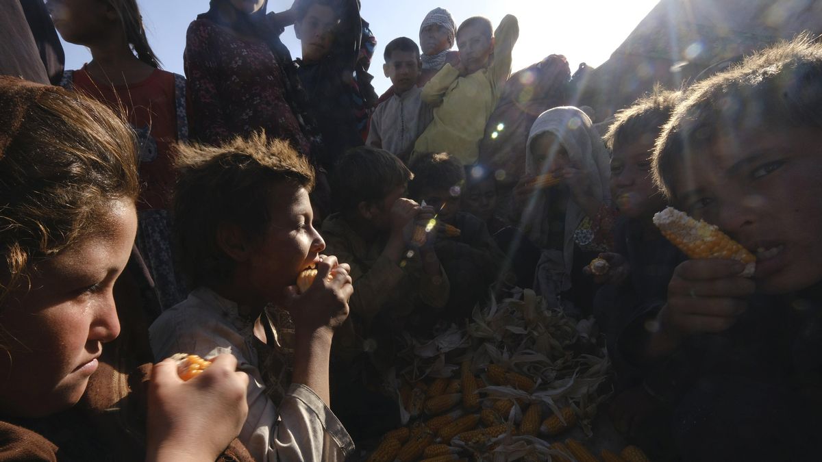 Unos niños afganos comen panochas crudas en un improvisado ampo de de refugiados en Mazar-e-Sharif. Unos niños afganos comen panochas crudas en un improvisado ampo de de refugiados en Mazar-e-Sharif.