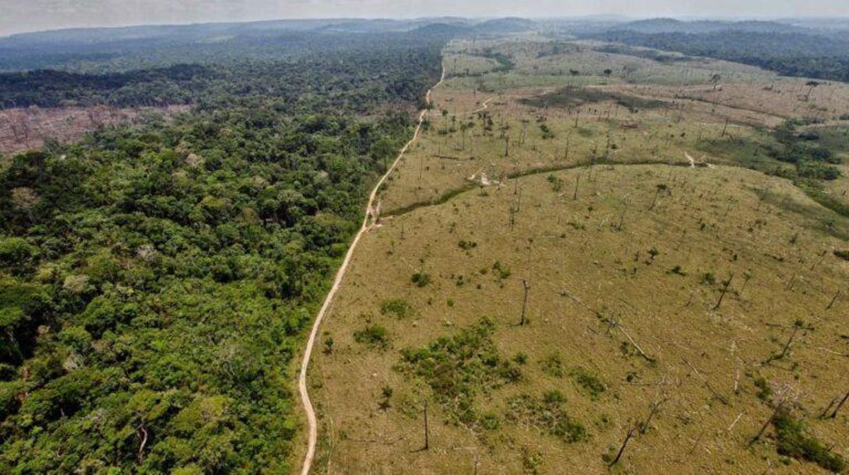 El Amazonas ha empezado a emitir más CO2 del que absorbe El Amazonas ha empezado a emitir más CO2 del que absorbe