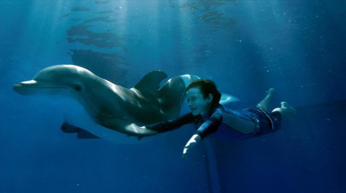 Una seqüència de la pel·lícula ’La gran aventura de Winter el delfín’. 