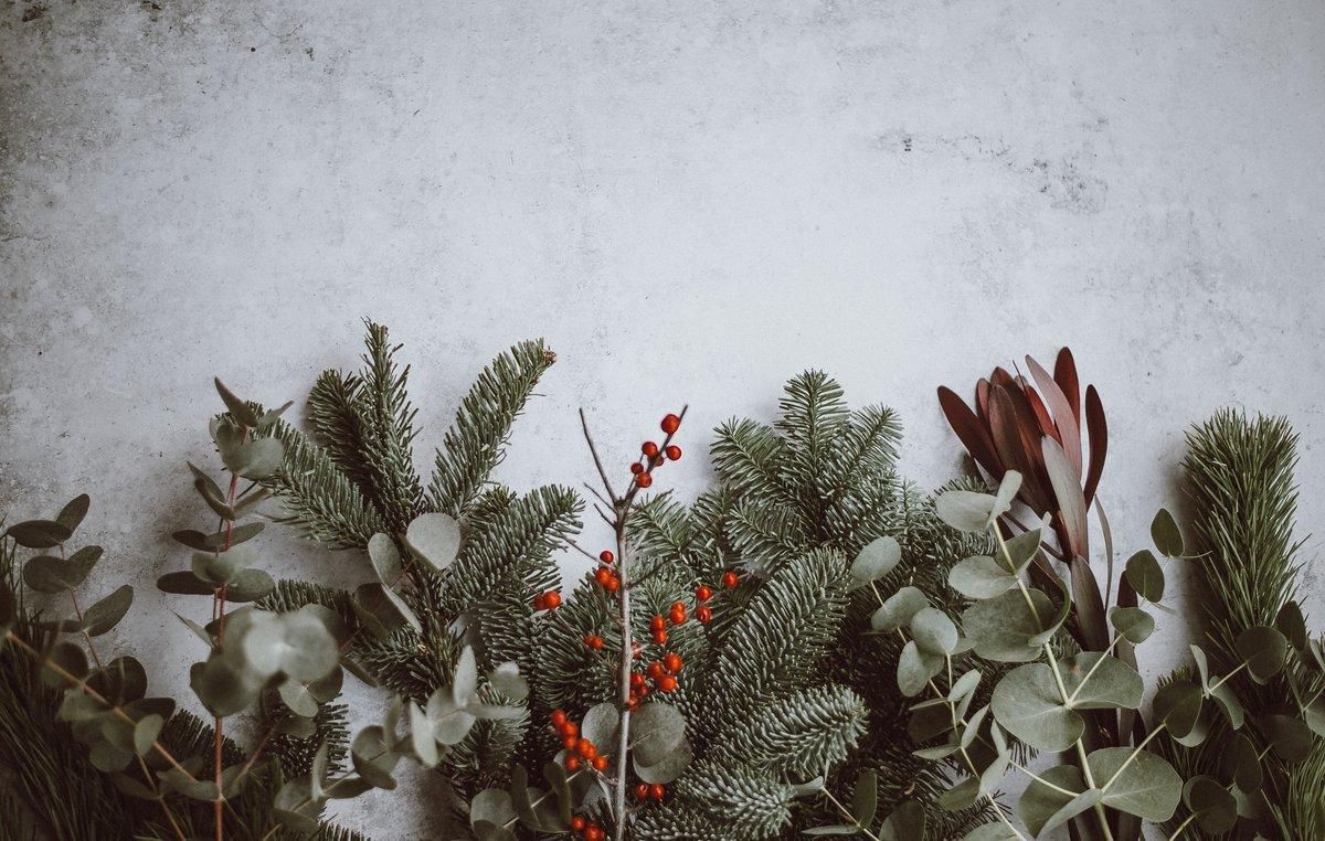 Calcular las cantidades de alimento o mantener la nevera cerrada son algunas de las recomendaciones para una navidad ’verde’. Calcular las cantidades de alimento o mantener la nevera cerrada son algunas de las recomendaciones para una navidad ’verde’.