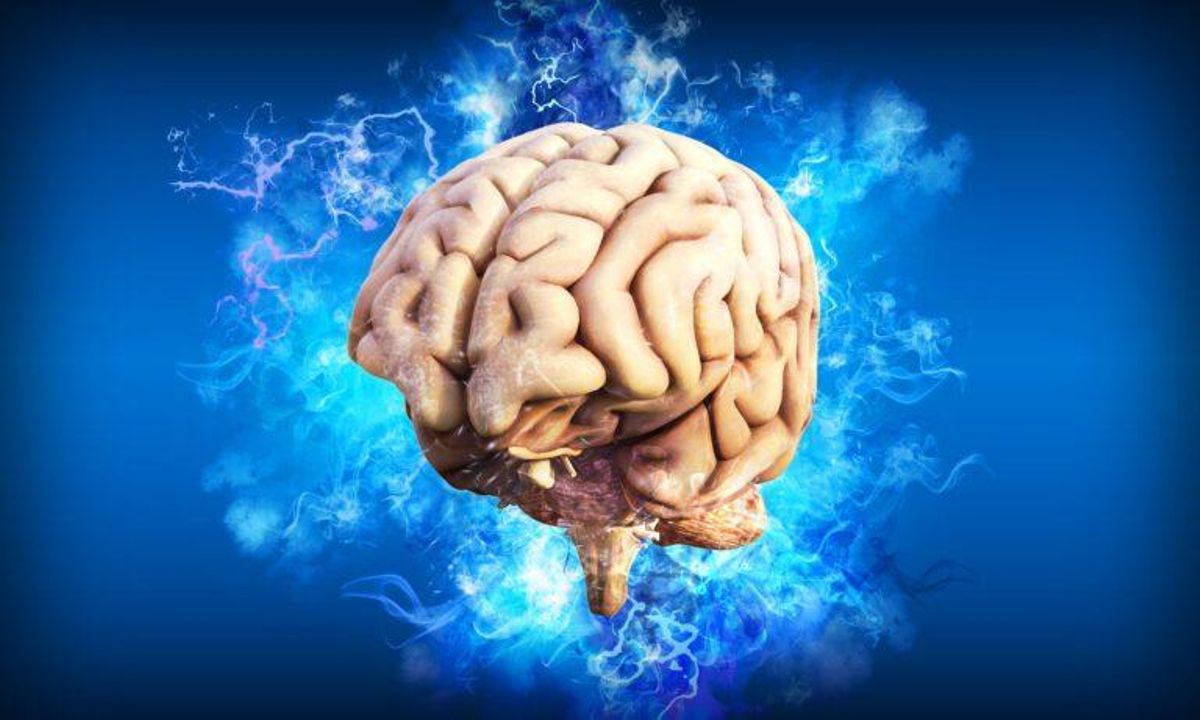 Tener educación superior no ralentiza el envejecimiento cerebral Tener educación superior no ralentiza el envejecimiento cerebral