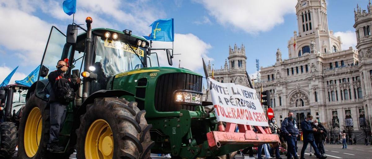 El mundo rural celebra "el éxito" de la marcha de Madrid y los sindicatos piden unidad