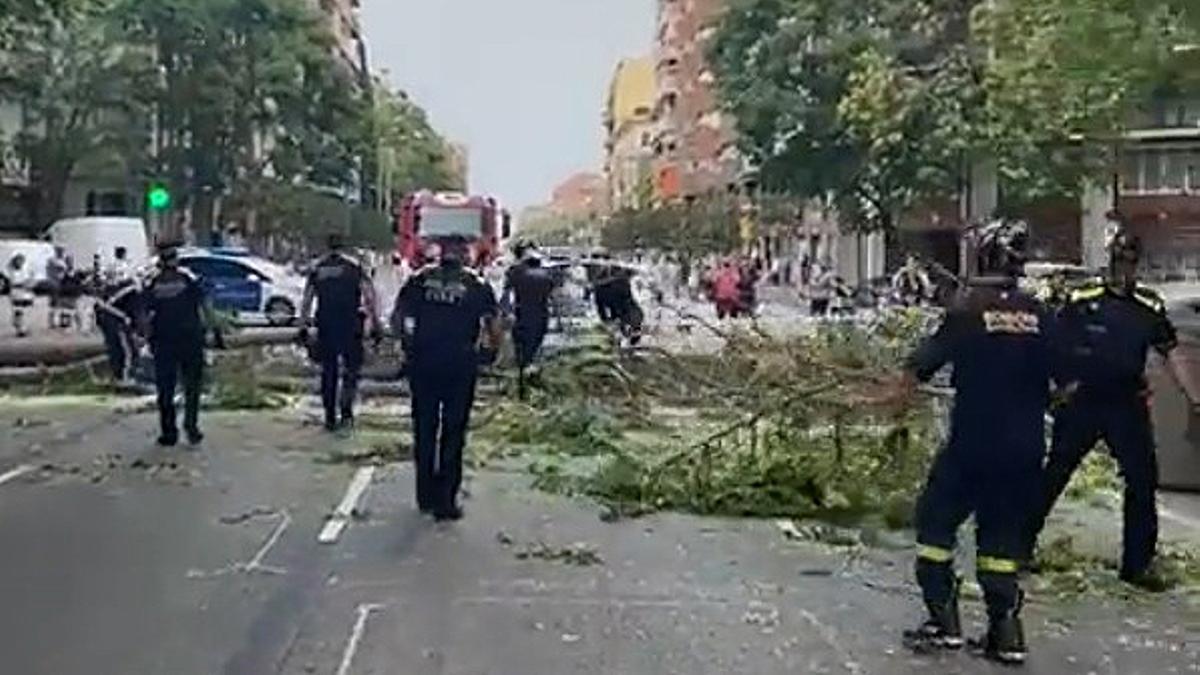 La caída de un árbol de gran tamaño corta el tráfico en la calle de Aragó de Barcelona