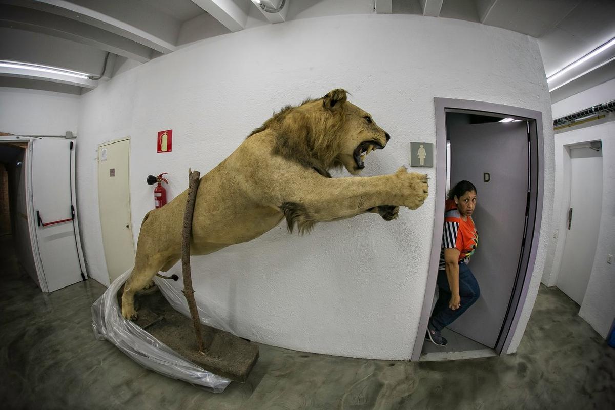 Barceloneando: El león rampante de Castelldefels