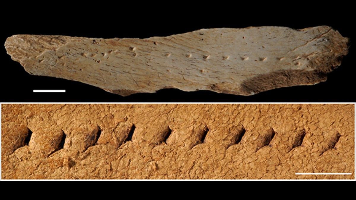 This is how the 'sapiens' sewed their clothes 39,000 years ago - time.news - Time News