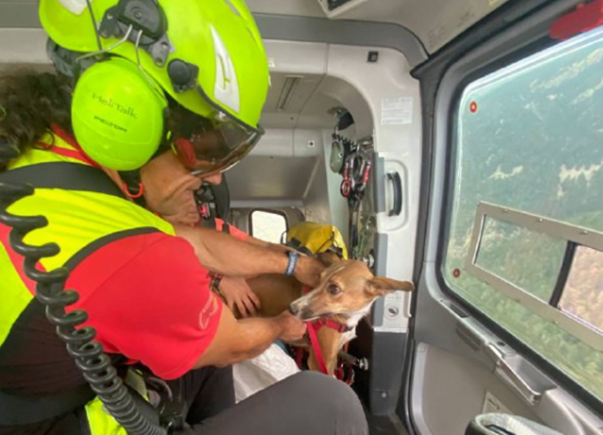El perro en el helicóptero, con los bomberos que le han rescatado.