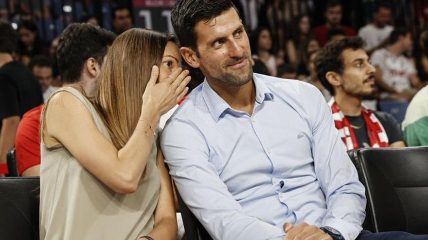 Descobreixen una nova espècie dinsecte a Sèrbia i li diuen Djokovic