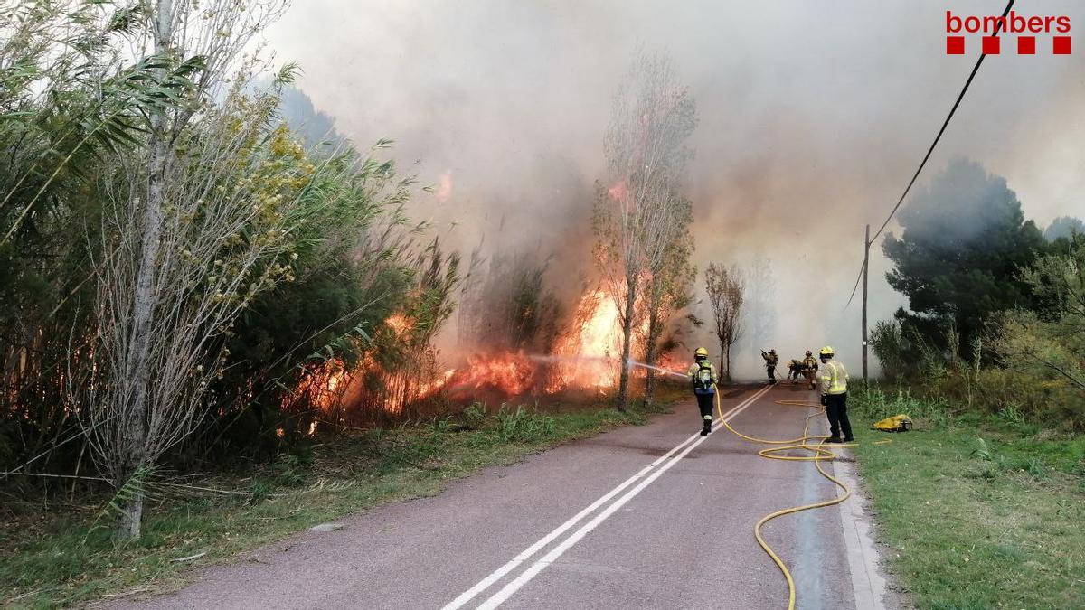 Dos petits incendis forestals, avivats pel vent, cremen a l’Empordà