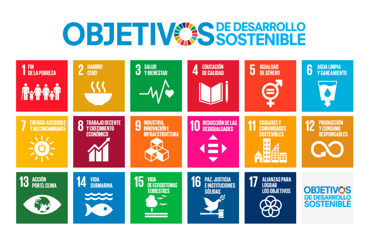 ¿Qué son los Objetivos de Desarrollo Sostenible? ¿Qué son los Objetivos de Desarrollo Sostenible?