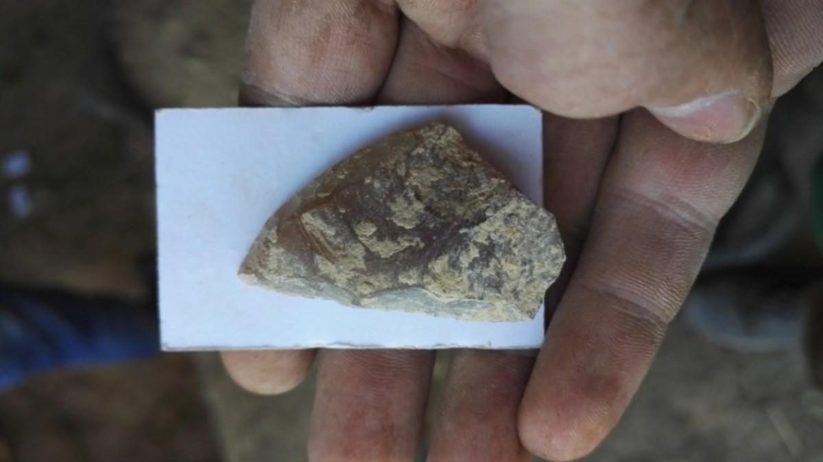 Una de las piezas neandertales halladas en la cueva del Trader en Cubelles.