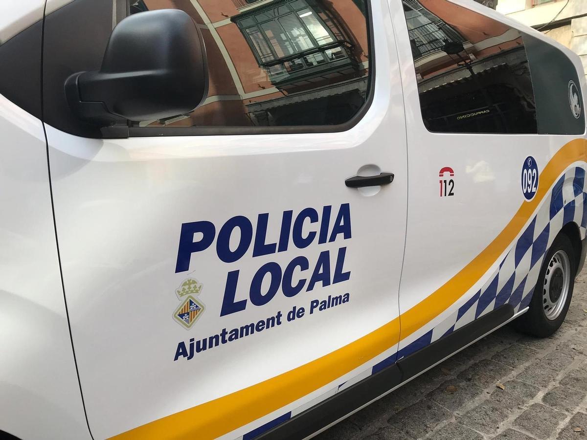 Detenido un hombre por intentar coger a un bebé de un carrito en Palma