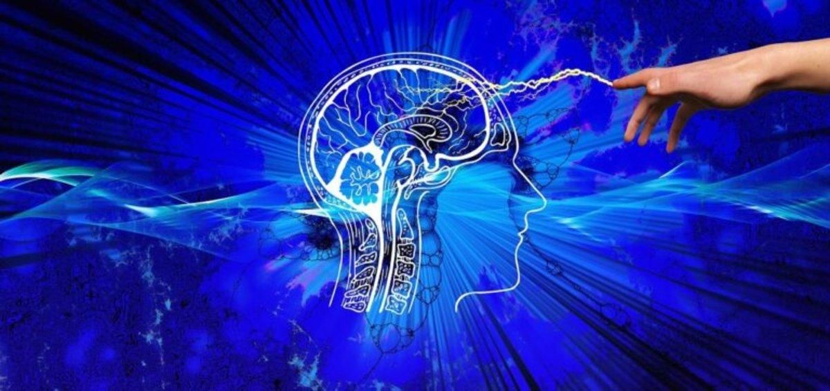 ¿Por qué los nativos digitales son la primera generación de jóvenes menos inteligentes que sus padres? ¿Por qué los nativos digitales son la primera generación de jóvenes menos inteligentes que sus padres?