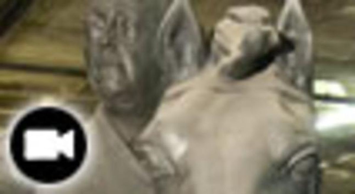 Detalle de la estatua de Franco. Detalle de la estatua de Franco.