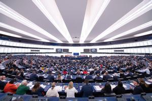 El Parlamento Europeo. 
