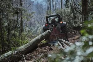 Trabajos de gestión forestal en los bosques de Vidrà, en el Bisaura (Osona). 