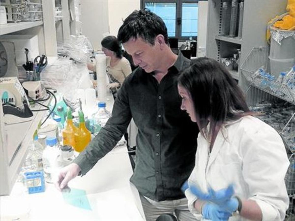 NANOTECNOLOGIA.Bernart Crosas en su laboratorio del Instituto de Biología Molecular de Barcelona, esta semana.
