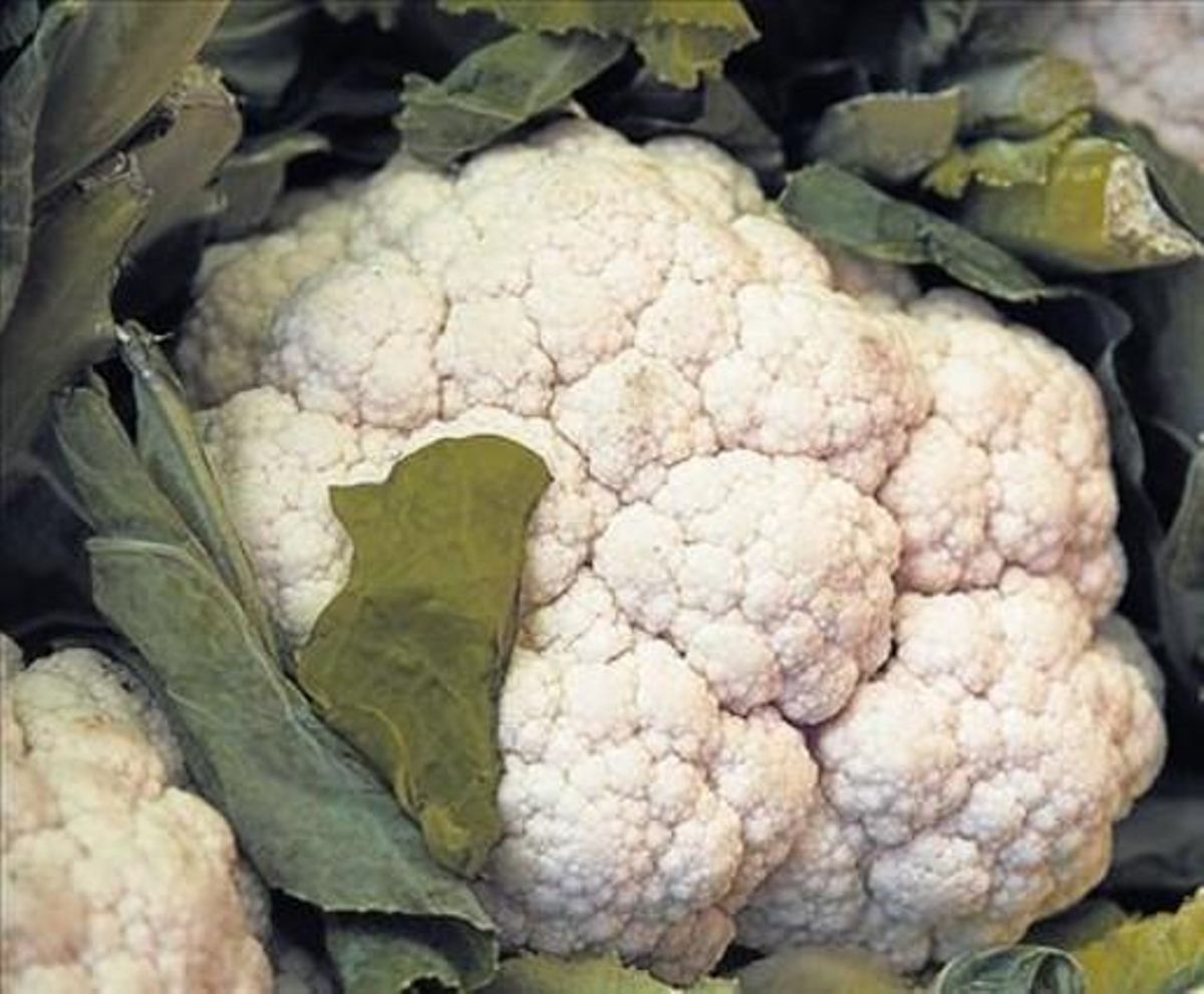 Coliflores, en una parada de verduras del mercado de la Boqueria. Coliflores, en una parada de verduras del mercado de la Boqueria.