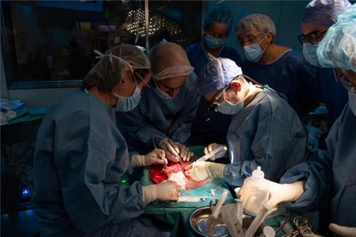 Un momento del trasplante de útero de donante viva, realizado en el Hospital Clínic de Barcelona el 5 de octubre.