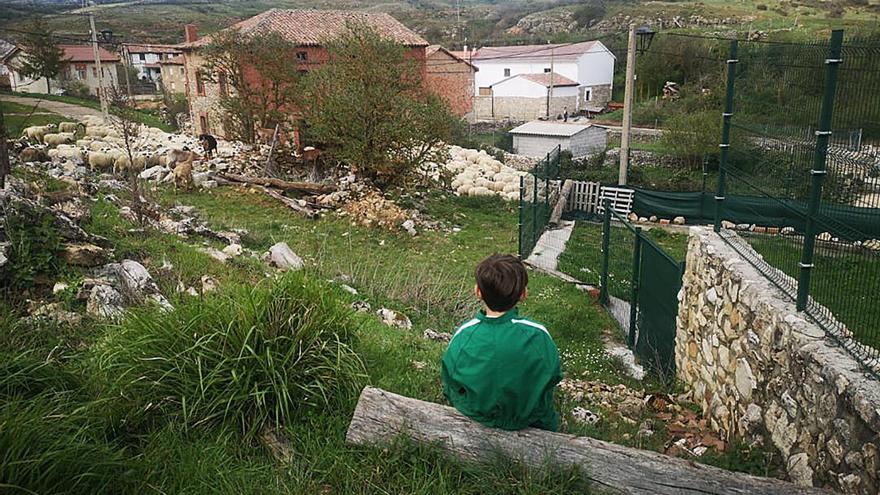 Deducciones fiscales, parcelas gratis, un pan y un queso cuando nace… algunos incentivos para volver al pueblo