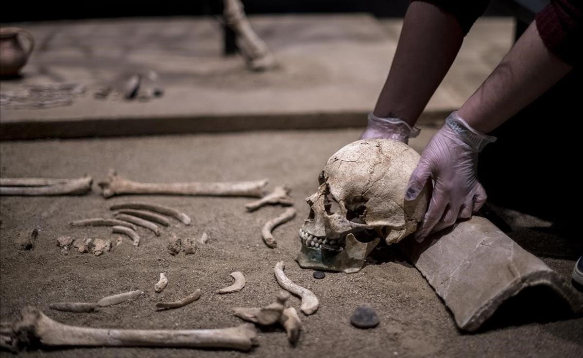 Una arqueóloga del Museu de Badalona acomoda el cráneo de una joven romana de Baetulo sobre su almohada de teja.
