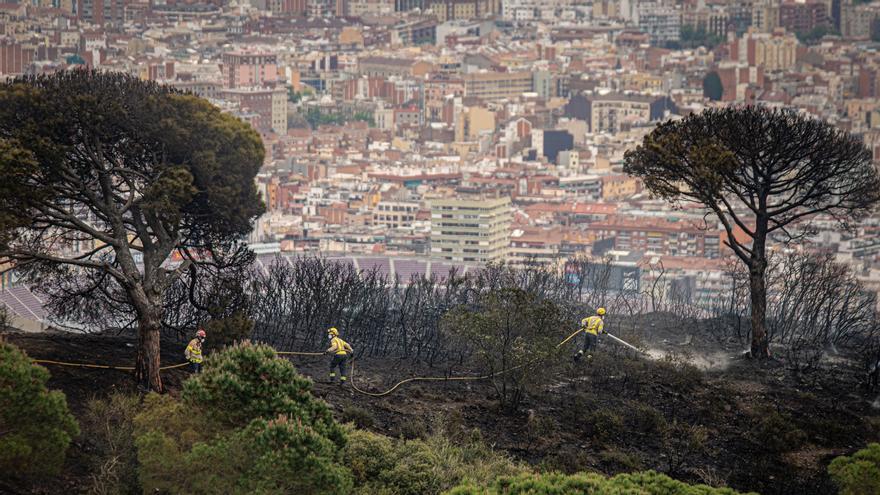 Ola de calor: Barcelona pide no ir a Collserola y evitar aglomeraciones en la playa - Vimarsana News