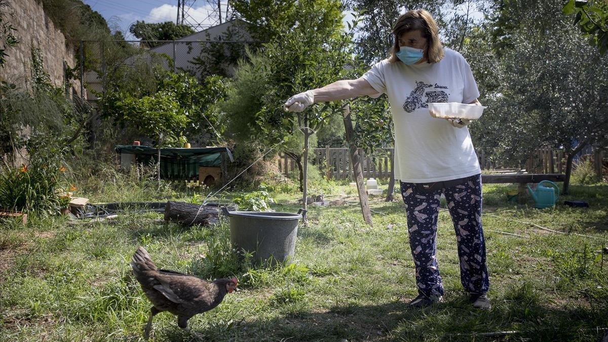 Esperança alimenta a las gallinas del Institut Escola Antaviana, en Roquetes.