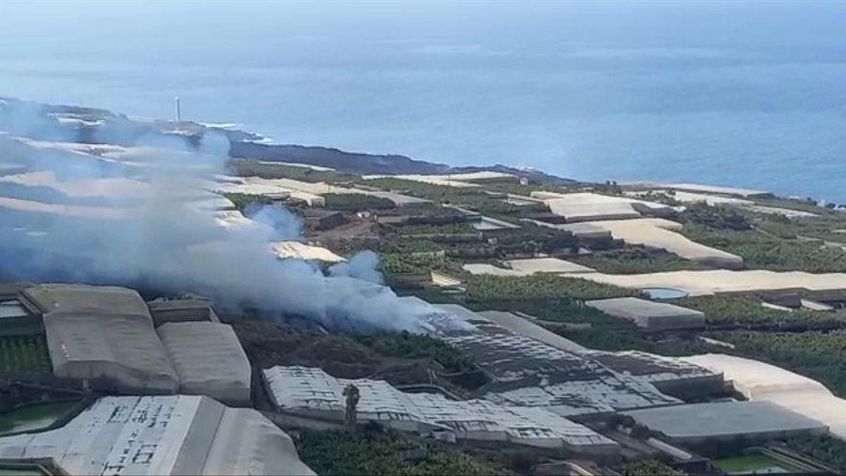 Confinadas 3.000 personas por el incendio de una cementera por la lava de La Palma Confinadas 3.000 personas por el incendio de una cementera por la lava de La Palma
