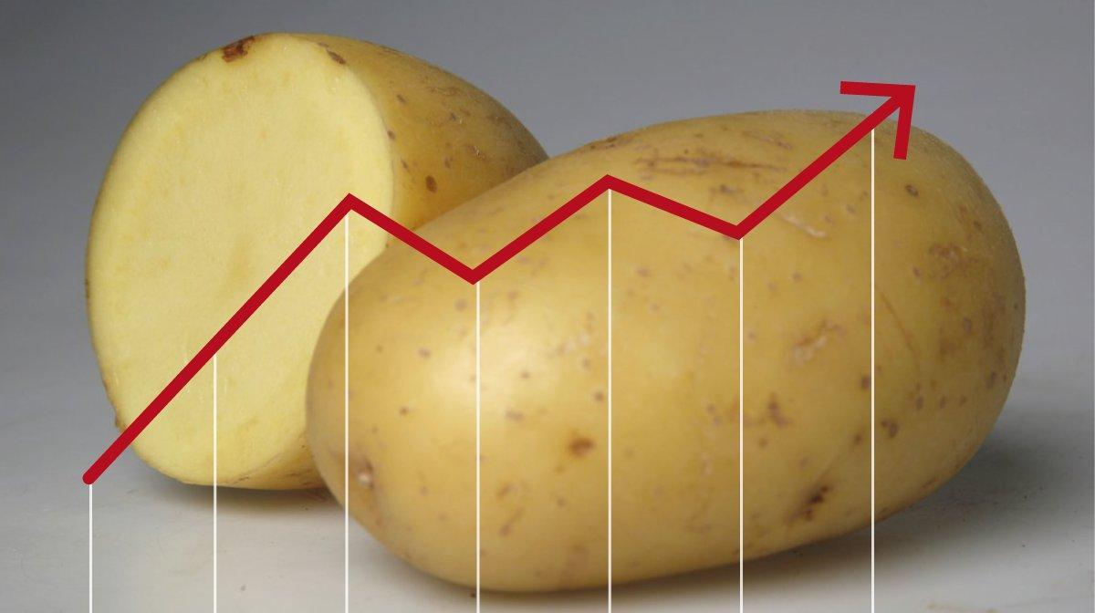 evolución del precio de la patata. Del campo a la mesa